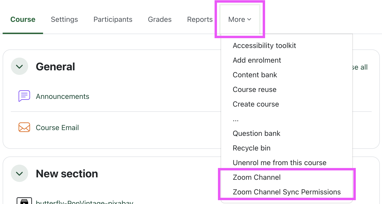 A screenshot of the More menu in a course, highlighting the Zoom channel and permission sync links