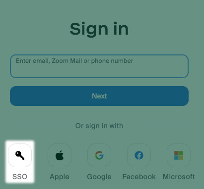 Choose SSO on the Zoom login screen