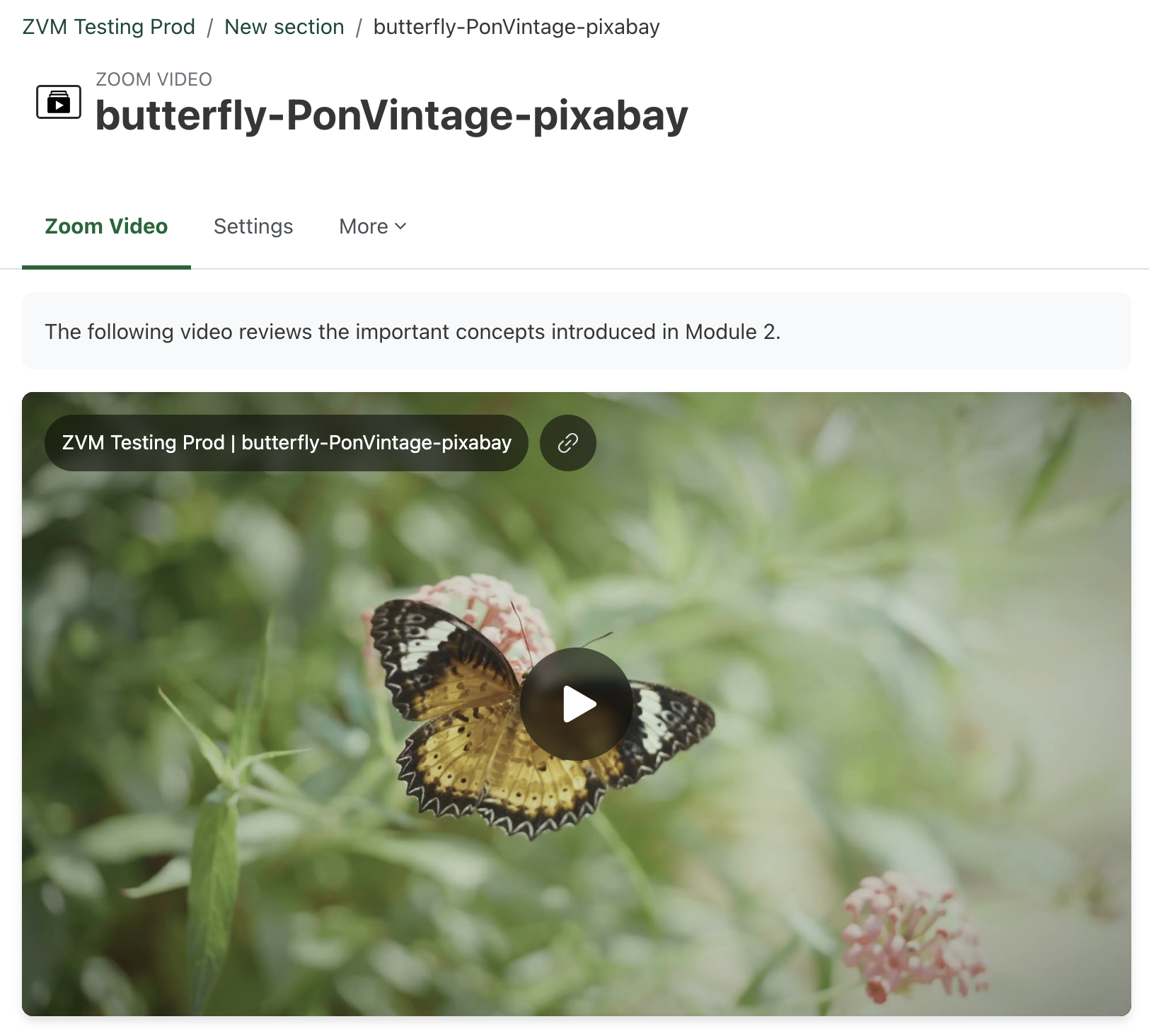A screenshot of the new Zoom Video resource
