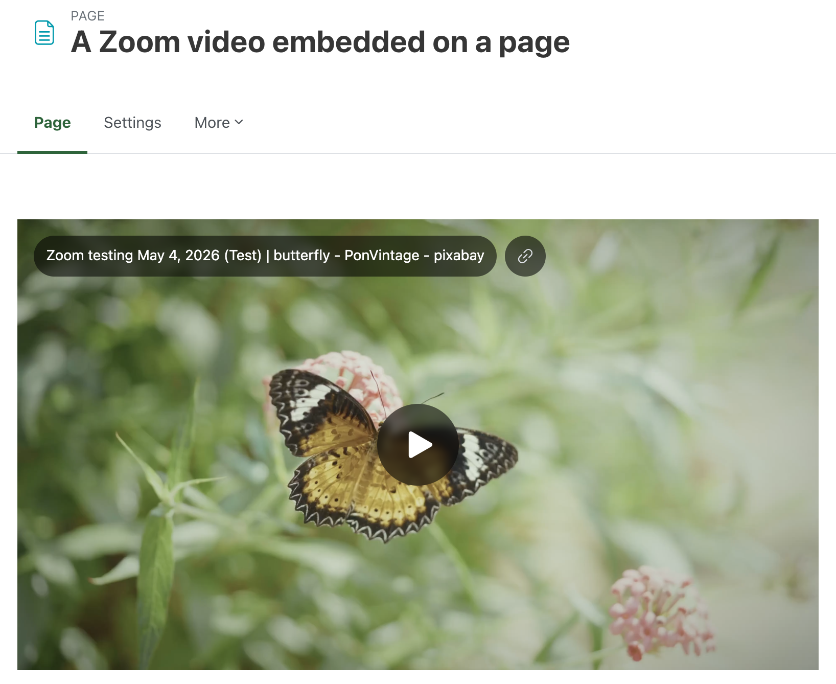 A screenshot of the resulting page with the Multimedia filter enabled. The Zoom video link has become an embedded video.