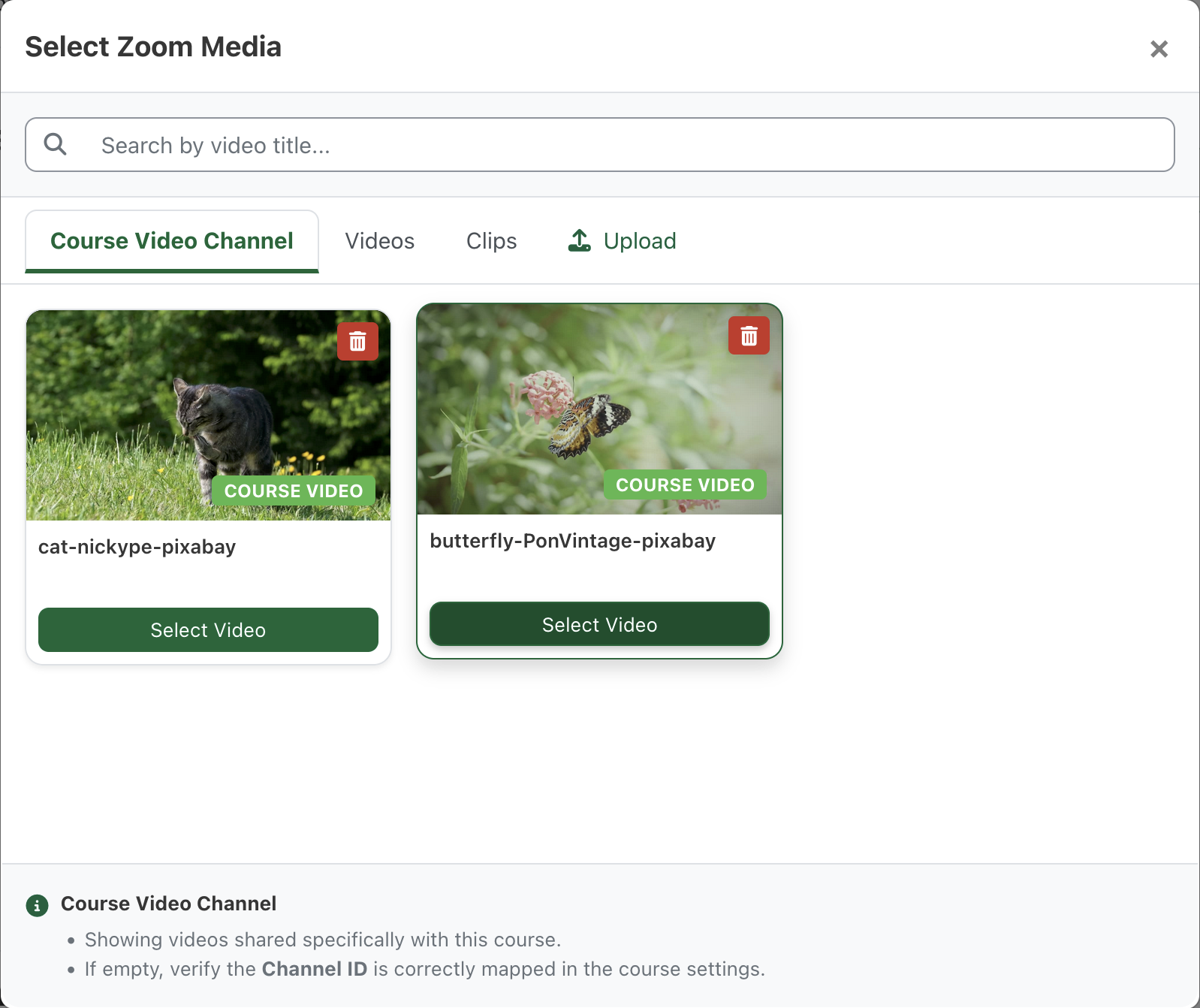 A screenshot of the Zoom Video Channel showing course videos