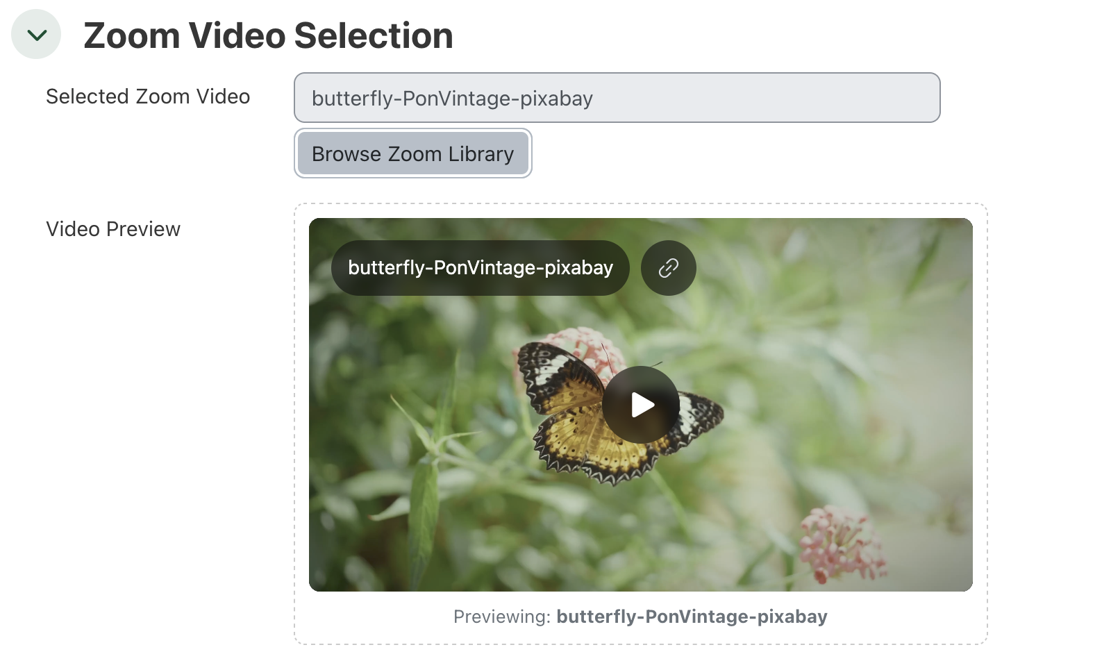 A screenshot of the Zoom Video prevoew after selecting a video