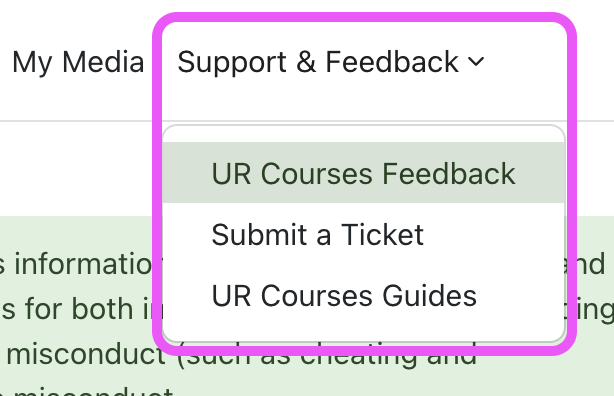 A screenshot showing the Support & Feedback menu item