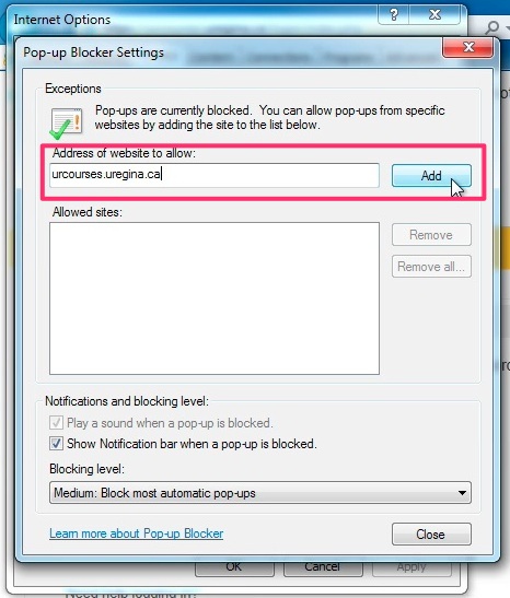 IE Popup Settings