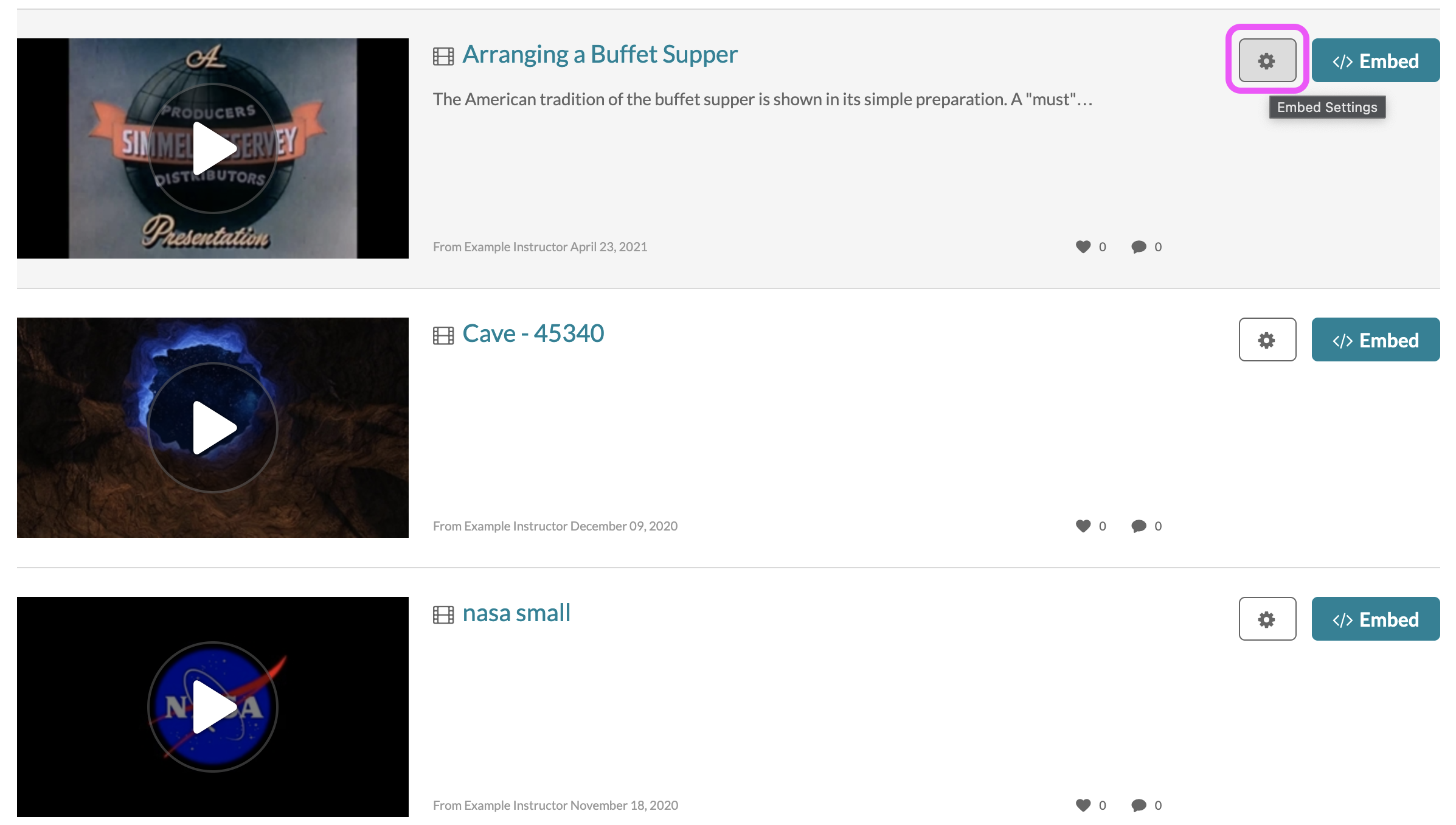 A screen shot of the Browse, Search, and Embed (BSE) interface, highlighting the embed settings icon