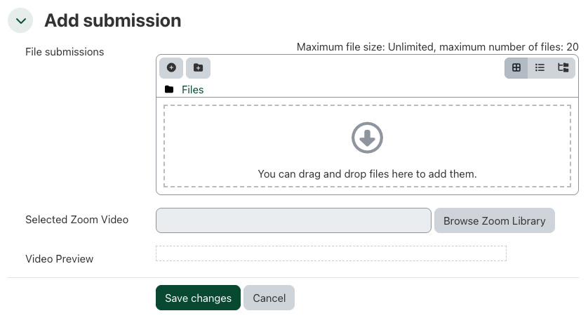 Showing the Zoom video submission upload