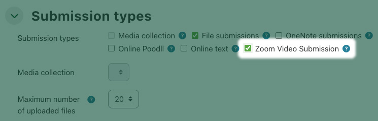 Showing the Zoom video submission option